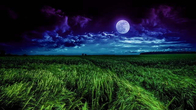 moon