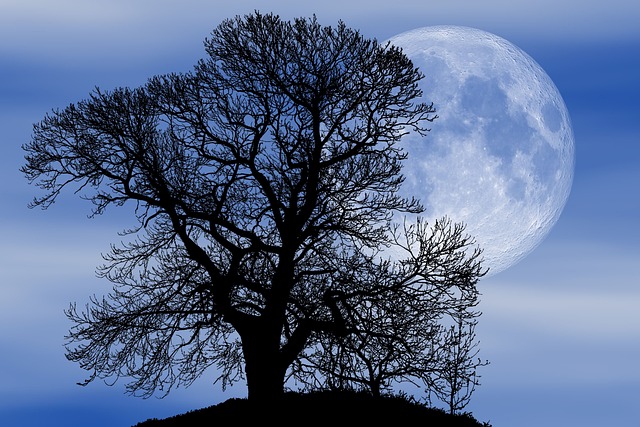 moon